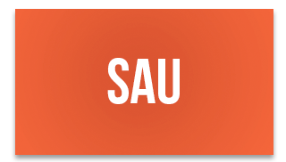 Saurashtra
