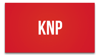 St Kitts and Nevis Patriots