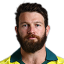 Michael Gertges Neser Michael Gertges Neser